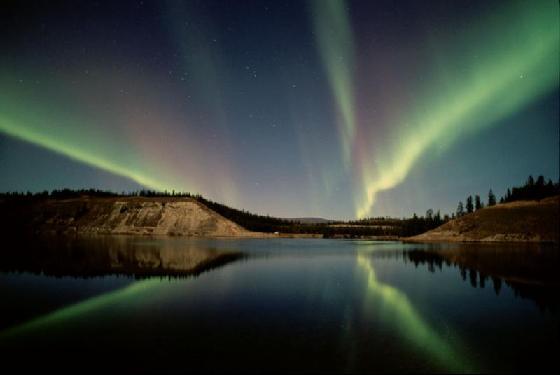 Whitehorse  001